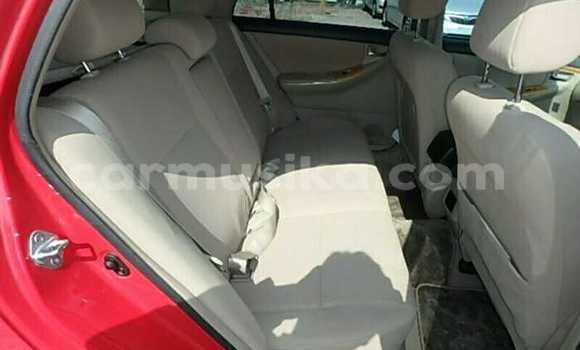 Acheter Occasion Voiture Toyota Runx Rouge à Beitbridge, Matabeleland South Acheter Occasion Voiture Toyota Runx Rouge à Beitbridge, Matabeleland South