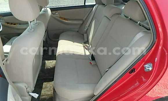 Acheter Occasion Voiture Toyota Runx Rouge à Beitbridge, Matabeleland South Acheter Occasion Voiture Toyota Runx Rouge à Beitbridge, Matabeleland South