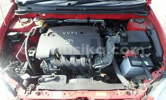 Acheter Occasion Voiture Toyota Runx Rouge à Beitbridge, Matabeleland South Acheter Occasion Voiture Toyota Runx Rouge à Beitbridge, Matabeleland South