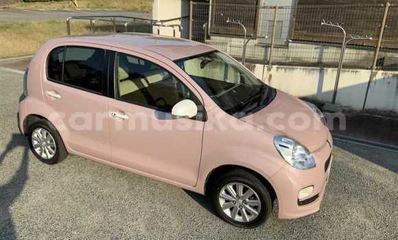 Acheter Occasion Voiture Toyota Passo Autre à Beitbridge, Matabeleland South