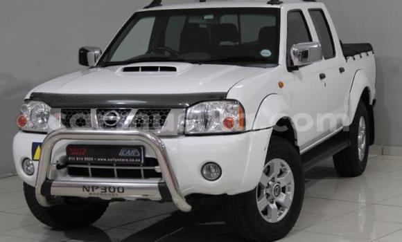 Buy Used Nissan NP 300 White Car in Beitbridge in Matabeleland South Buy Used Nissan NP 300 White Car in Beitbridge in Matabeleland South