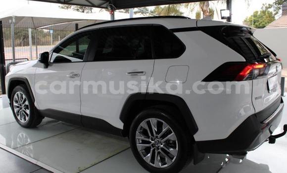 Buy Used Toyota RAV4 White Car in Beitbridge in Matabeleland South Buy Used Toyota RAV4 White Car in Beitbridge in Matabeleland South