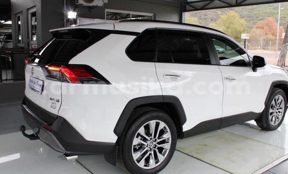 Buy Used Toyota RAV4 White Car in Beitbridge in Matabeleland South Buy Used Toyota RAV4 White Car in Beitbridge in Matabeleland South