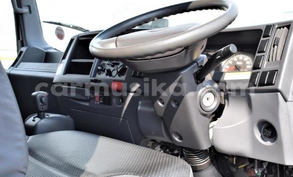 Acheter Occasion Utilitaire Isuzu FTR 850 Gris à Beitbridge, Matabeleland South Acheter Occasion Utilitaire Isuzu FTR 850 Gris à Beitbridge, Matabeleland South