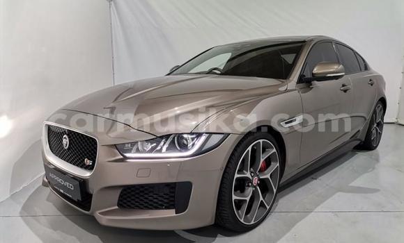 Acheter Occasion Voiture Jaguar XE Gris à Harare, Harare