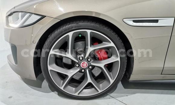 Buy Used Jaguar XE Silver Car in Harare in Harare Buy Used Jaguar XE Silver Car in Harare in Harare