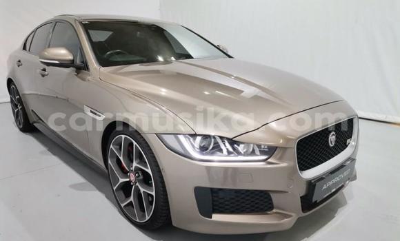 Buy Used Jaguar XE Silver Car in Harare in Harare Buy Used Jaguar XE Silver Car in Harare in Harare