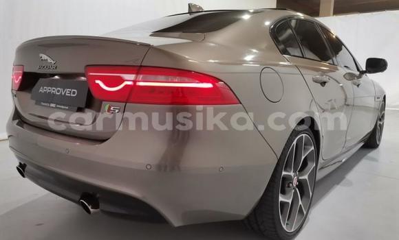 Buy Used Jaguar XE Silver Car in Harare in Harare Buy Used Jaguar XE Silver Car in Harare in Harare