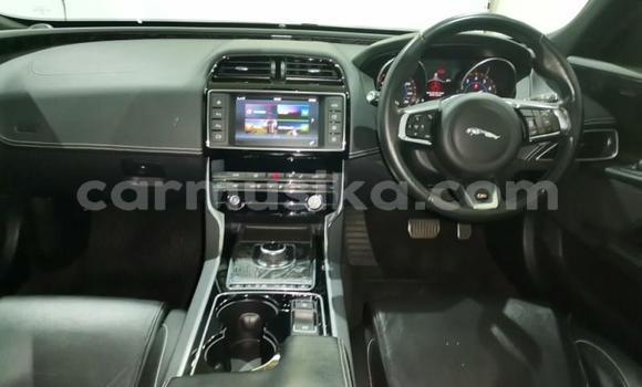 Buy Used Jaguar XE Silver Car in Harare in Harare Buy Used Jaguar XE Silver Car in Harare in Harare