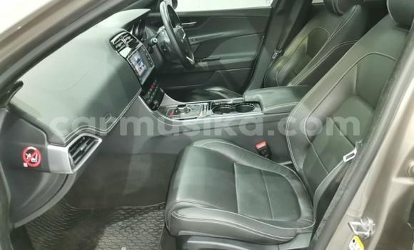 Buy Used Jaguar XE Silver Car in Harare in Harare Buy Used Jaguar XE Silver Car in Harare in Harare