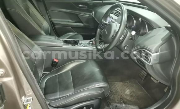 Buy Used Jaguar XE Silver Car in Harare in Harare Buy Used Jaguar XE Silver Car in Harare in Harare
