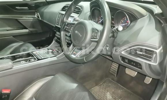 Buy Used Jaguar XE Silver Car in Harare in Harare Buy Used Jaguar XE Silver Car in Harare in Harare