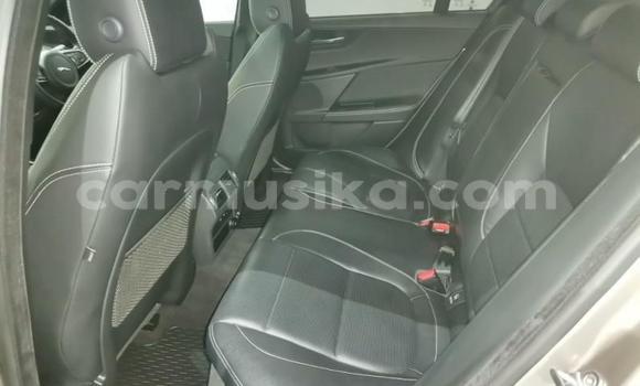 Buy Used Jaguar XE Silver Car in Harare in Harare Buy Used Jaguar XE Silver Car in Harare in Harare
