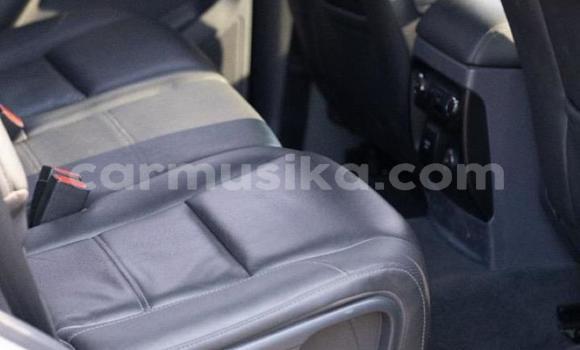 Acheter Occasion Voiture Ford Everest Gris à Chinhoyi, Mashonaland West Acheter Occasion Voiture Ford Everest Gris à Chinhoyi, Mashonaland West