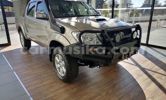Nunua Ilio tumika Toyota Hilux Nyingine Gari ndani ya Beitbridge nchini Matabeleland Kusini