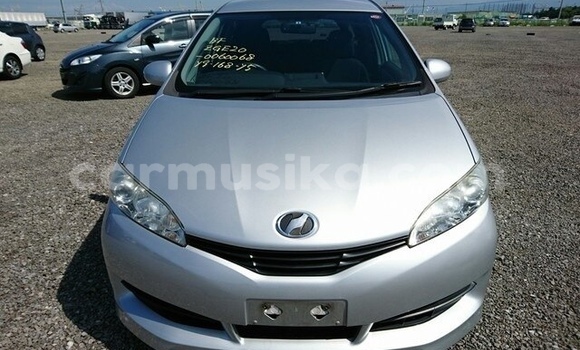 Tenga Tsaru Toyota Wish Chena Mota in Beitbridge in Matabeleland South