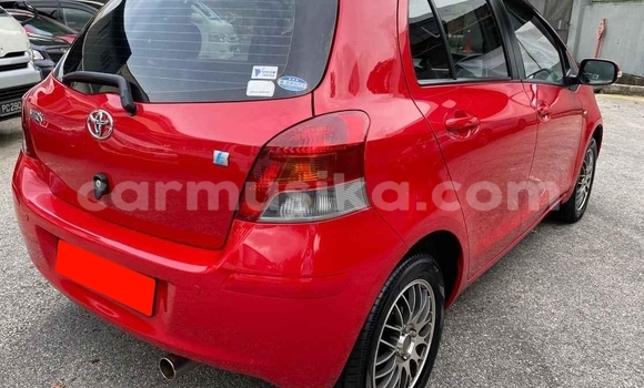 Tenga Tsaru Toyota Yaris Tsvuku Mota in Beitbridge in Matabeleland South Tenga Tsaru Toyota Yaris Tsvuku Mota in Beitbridge in Matabeleland South