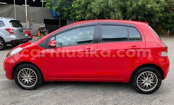 Tenga Tsaru Toyota Yaris Tsvuku Mota in Beitbridge in Matabeleland South Tenga Tsaru Toyota Yaris Tsvuku Mota in Beitbridge in Matabeleland South