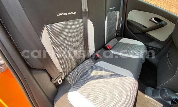 Tenga Tsaru Volkswagen Polo Zvimwe Mota in Beitbridge in Matabeleland South Tenga Tsaru Volkswagen Polo Zvimwe Mota in Beitbridge in Matabeleland South