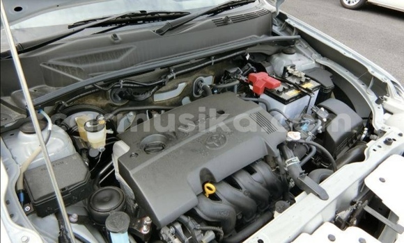 Acheter Occasion Voiture Toyota Succeed Blanc à Beitbridge, Matabeleland South Acheter Occasion Voiture Toyota Succeed Blanc à Beitbridge, Matabeleland South