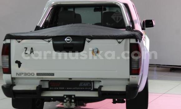 Tenga Tsaru Nissan NP 300 Chena Mota in Beitbridge in Matabeleland South