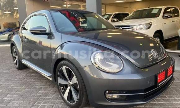 Nunua Ilio tumika Volkswagen Beetle Beige Gari ndani ya Borrowdale nchini Harare