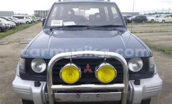 Tenga Tsaru Mitsubishi Pajero Bhuruu Mota in Beitbridge in Matabeleland South