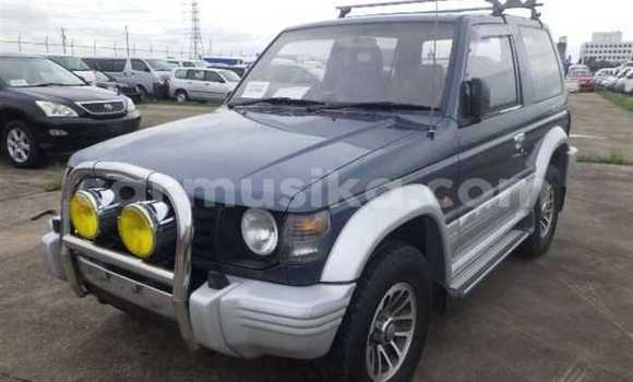 Tenga Tsaru Mitsubishi Pajero Bhuruu Mota in Beitbridge in Matabeleland South Tenga Tsaru Mitsubishi Pajero Bhuruu Mota in Beitbridge in Matabeleland South