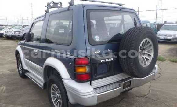 Tenga Tsaru Mitsubishi Pajero Bhuruu Mota in Beitbridge in Matabeleland South Tenga Tsaru Mitsubishi Pajero Bhuruu Mota in Beitbridge in Matabeleland South