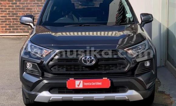 Tenga Tsaru Toyota RAV4 Beige Mota in Beitbridge in Matabeleland South Tenga Tsaru Toyota RAV4 Beige Mota in Beitbridge in Matabeleland South