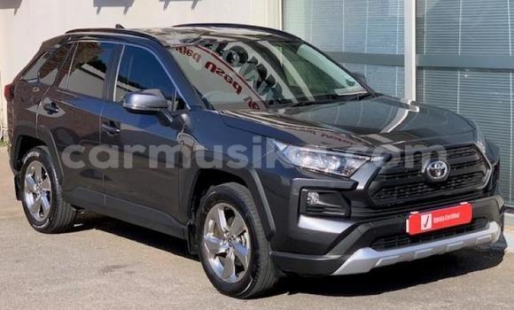 Tenga Tsaru Toyota RAV4 Beige Mota in Beitbridge in Matabeleland South Tenga Tsaru Toyota RAV4 Beige Mota in Beitbridge in Matabeleland South