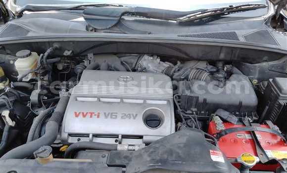 Nunua Ilio tumika Toyota Harrier Nyeusi Gari ndani ya Beitbridge nchini Matabeleland Kusini Nunua Ilio tumika Toyota Harrier Nyeusi Gari ndani ya Beitbridge nchini Matabeleland Kusini