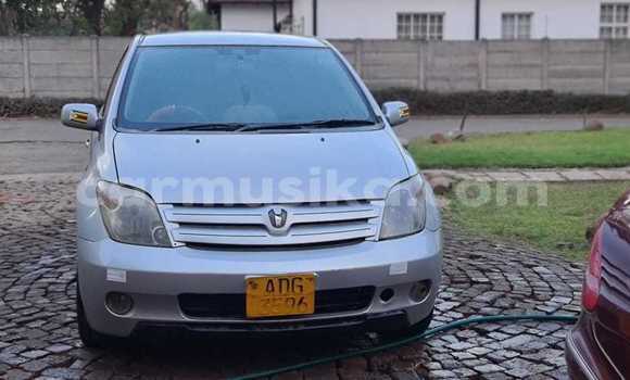 Nunua Ilio tumika Toyota IST Fedha Gari ndani ya Mlima Pleasant nchini Harare Nunua Ilio tumika Toyota IST Fedha Gari ndani ya Mlima Pleasant nchini Harare