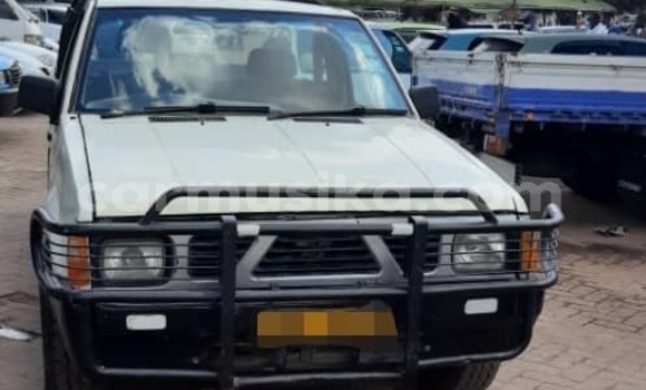 Nunua Ilio tumika Nissan Hardbody Beige Gari ndani ya Avondale nchini Harare