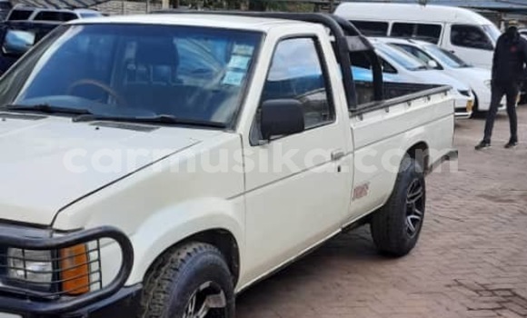 Nunua Ilio tumika Nissan Hardbody Beige Gari ndani ya Avondale nchini Harare Nunua Ilio tumika Nissan Hardbody Beige Gari ndani ya Avondale nchini Harare