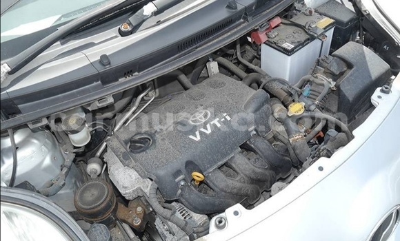 Tenga Tsaru Toyota Vitz Sirivha Mota in Beitbridge in Matabeleland South Tenga Tsaru Toyota Vitz Sirivha Mota in Beitbridge in Matabeleland South