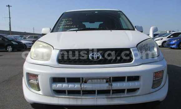 Buy Used Toyota RAV4 White Car in Beitbridge in Matabeleland South