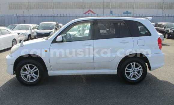 Tenga Tsaru Toyota RAV4 Chena Mota in Beitbridge in Matabeleland South Tenga Tsaru Toyota RAV4 Chena Mota in Beitbridge in Matabeleland South