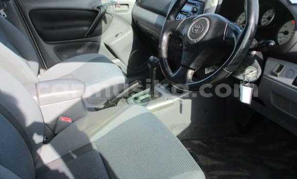 Tenga Tsaru Toyota RAV4 Chena Mota in Beitbridge in Matabeleland South Tenga Tsaru Toyota RAV4 Chena Mota in Beitbridge in Matabeleland South