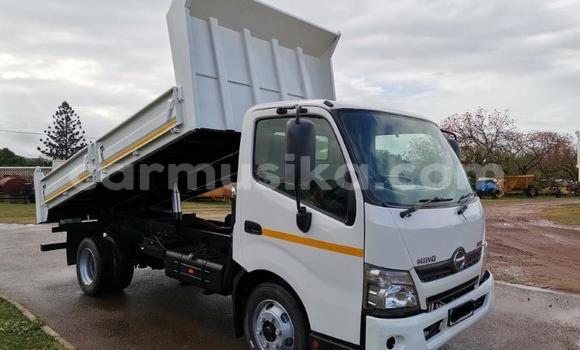 Tenga Tsaru Toyota Dyna Chena Mota in Beitbridge in Matabeleland South