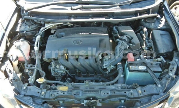 Tenga Tsaru Toyota Allion Nhema Mota in Beitbridge in Matabeleland South Tenga Tsaru Toyota Allion Nhema Mota in Beitbridge in Matabeleland South