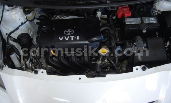 Buy Used Toyota Yaris White Car in Beitbridge in Matabeleland South Buy Used Toyota Yaris White Car in Beitbridge in Matabeleland South