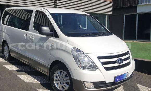 Buy Used Hyundai H1 White Car in Beitbridge in Matabeleland South