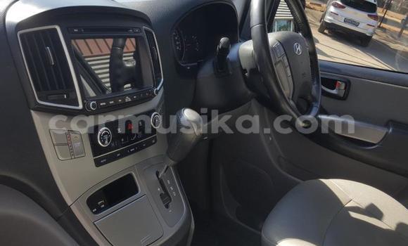 Tenga Tsaru Hyundai H1 Chena Mota in Beitbridge in Matabeleland South Tenga Tsaru Hyundai H1 Chena Mota in Beitbridge in Matabeleland South