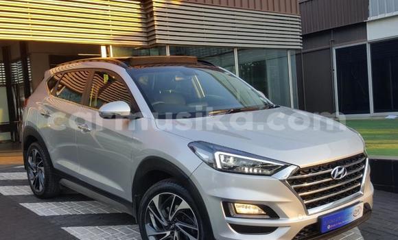 Acheter Occasion Voiture Hyundai Tucson Gris à Beitbridge, Matabeleland South