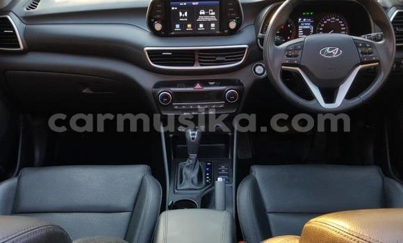 Acheter Occasion Voiture Hyundai Tucson Gris à Beitbridge, Matabeleland South Acheter Occasion Voiture Hyundai Tucson Gris à Beitbridge, Matabeleland South