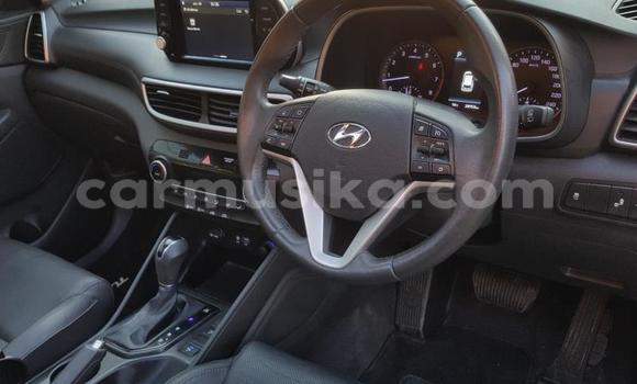 Acheter Occasion Voiture Hyundai Tucson Gris à Beitbridge, Matabeleland South Acheter Occasion Voiture Hyundai Tucson Gris à Beitbridge, Matabeleland South