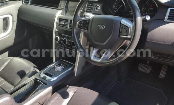 Tenga Tsaru Land Rover Discovery Sport Nhema Mota in Beitbridge in Matabeleland South Tenga Tsaru Land Rover Discovery Sport Nhema Mota in Beitbridge in Matabeleland South