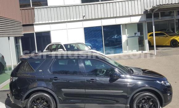 Tenga Tsaru Land Rover Discovery Sport Nhema Mota in Beitbridge in Matabeleland South Tenga Tsaru Land Rover Discovery Sport Nhema Mota in Beitbridge in Matabeleland South