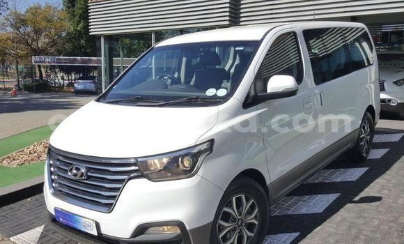 Acheter Occasion Voiture Hyundai H1 Blanc à Beitbridge, Matabeleland South Acheter Occasion Voiture Hyundai H1 Blanc à Beitbridge, Matabeleland South